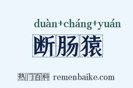 断肠猿是什么意思的图片